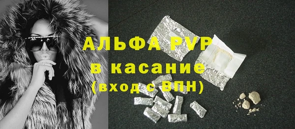 прущие грибы Лабытнанги