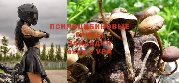 спиды Краснослободск