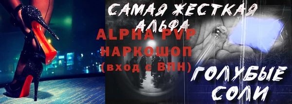 прущие грибы Лабытнанги