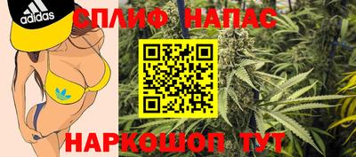 дмт Донской