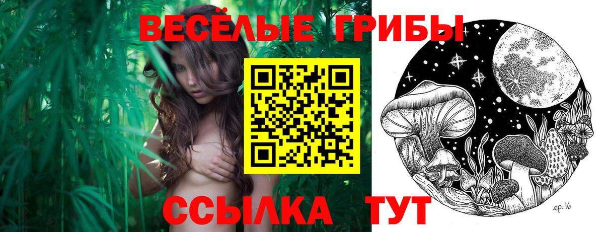 Галлюциногенные грибы GOLDEN TEACHER  Вход с VPN  Псилоцибиновые грибы Cubensis  Мелеуз 