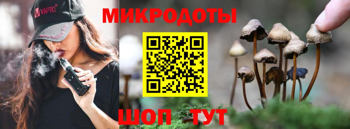 Псилоцибиновые грибы Psilocybine cubensis Мелеуз